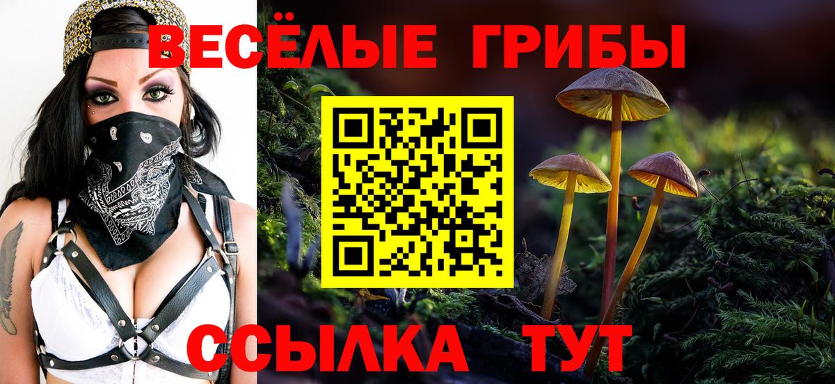 Мончегорск  Галлюциногенные грибы Magic Shrooms  Вход с VPN 