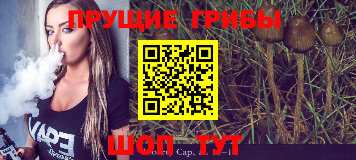 Галлюциногенные грибы Magic Shrooms Мончегорск